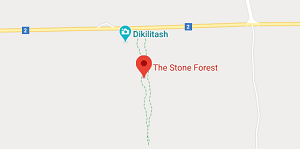 جنگل سنگی وارنا  بر روی گوگل مپ 